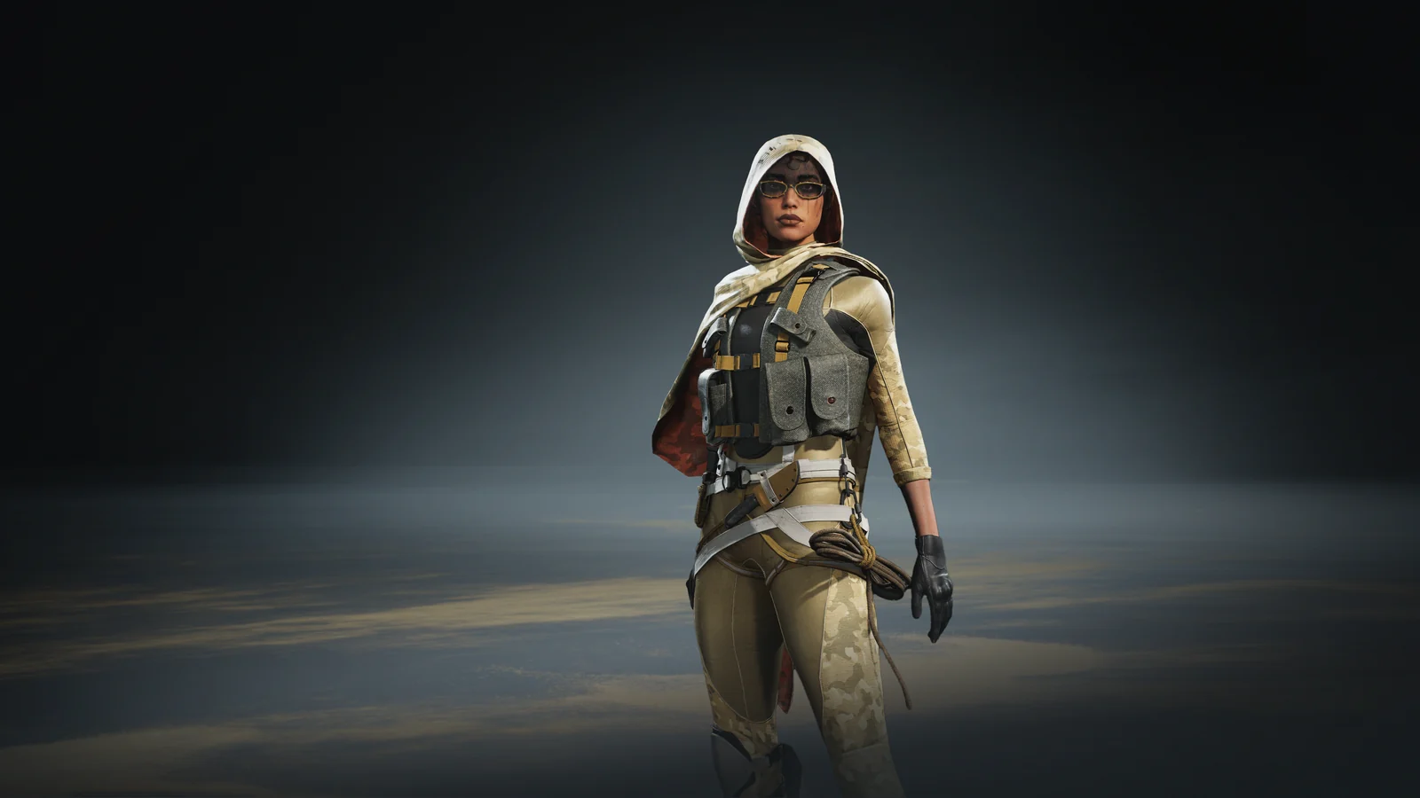The Haze skin for the Agent Flair.